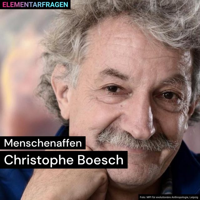 Menschenaffen: Christophe Boesch | Elementarfragen