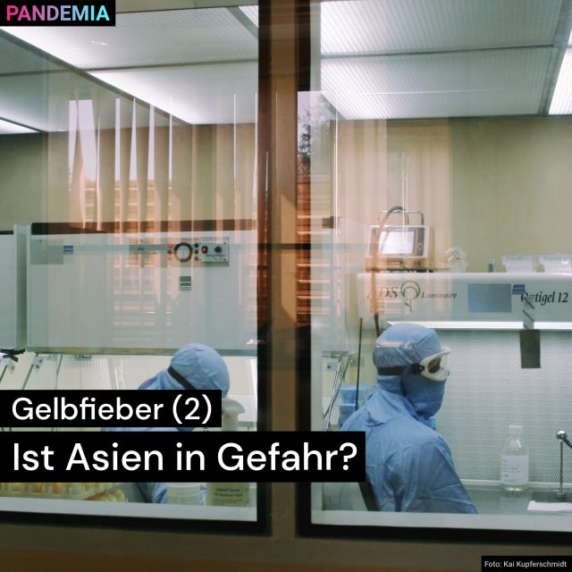 pan18_feedGelbfieber | Ist Asien in Gefahr? | Pandemia