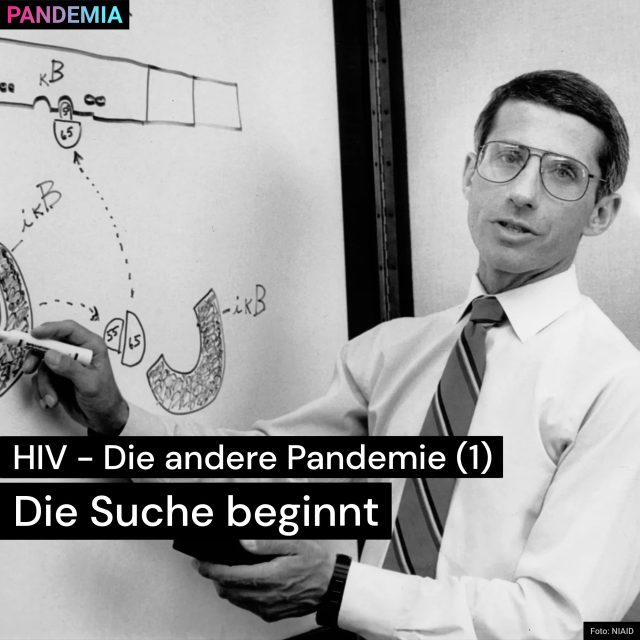 HIV – Die andere Pandemie | Die Suche beginnt | Pandemia