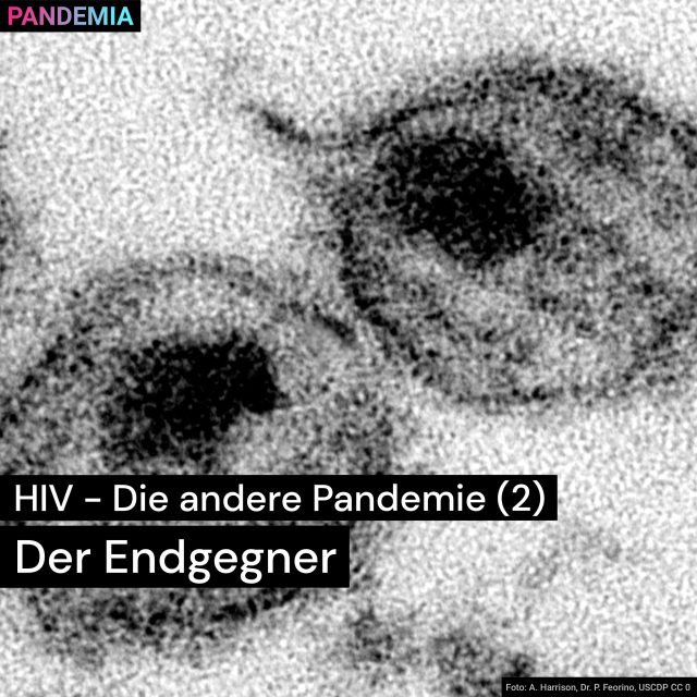 HIV – Die andere Pandemie | Der Endgegner | Pandemia