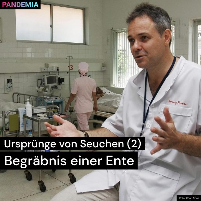 Ursprünge von Seuchen (2): Begräbnis einer Ente | Pandemia