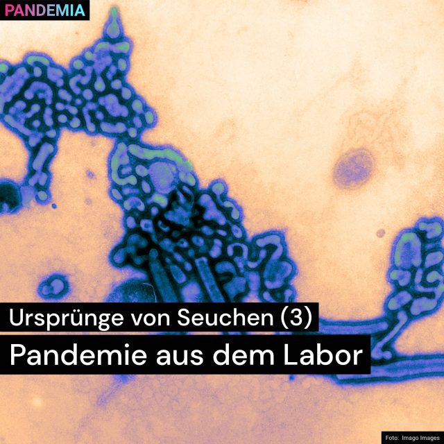 Ursprünge von Seuchen (3) | Pandemie aus dem Labor | Pandemia