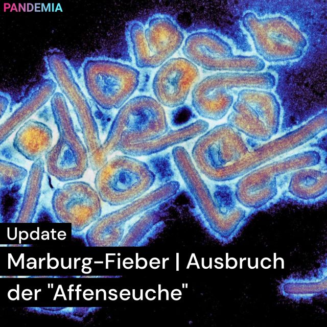 Pandemia | Marburg Fieber | Ausbruch der „Affenseuche“